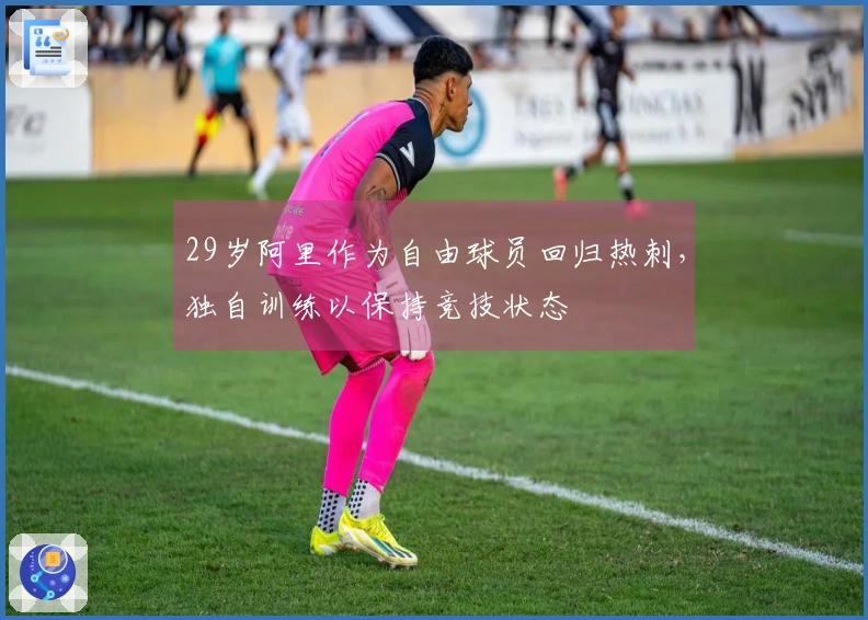 29岁阿里作为自由球员回归热刺，独自训练以保持竞技状态