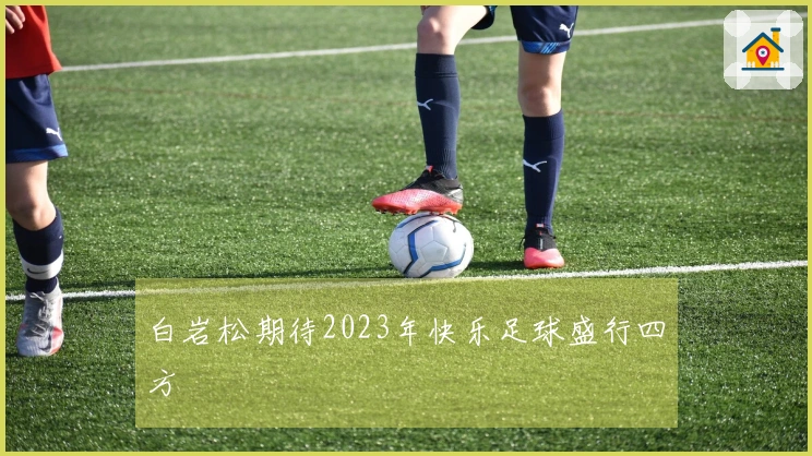 白岩松期待2023年快乐足球盛行四方