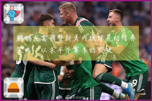 鹈鹕或需调整新秀内线球员的培养策略，以求半个赛季的突破