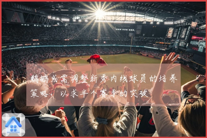 鹈鹕或需调整新秀内线球员的培养策略，以求半个赛季的突破